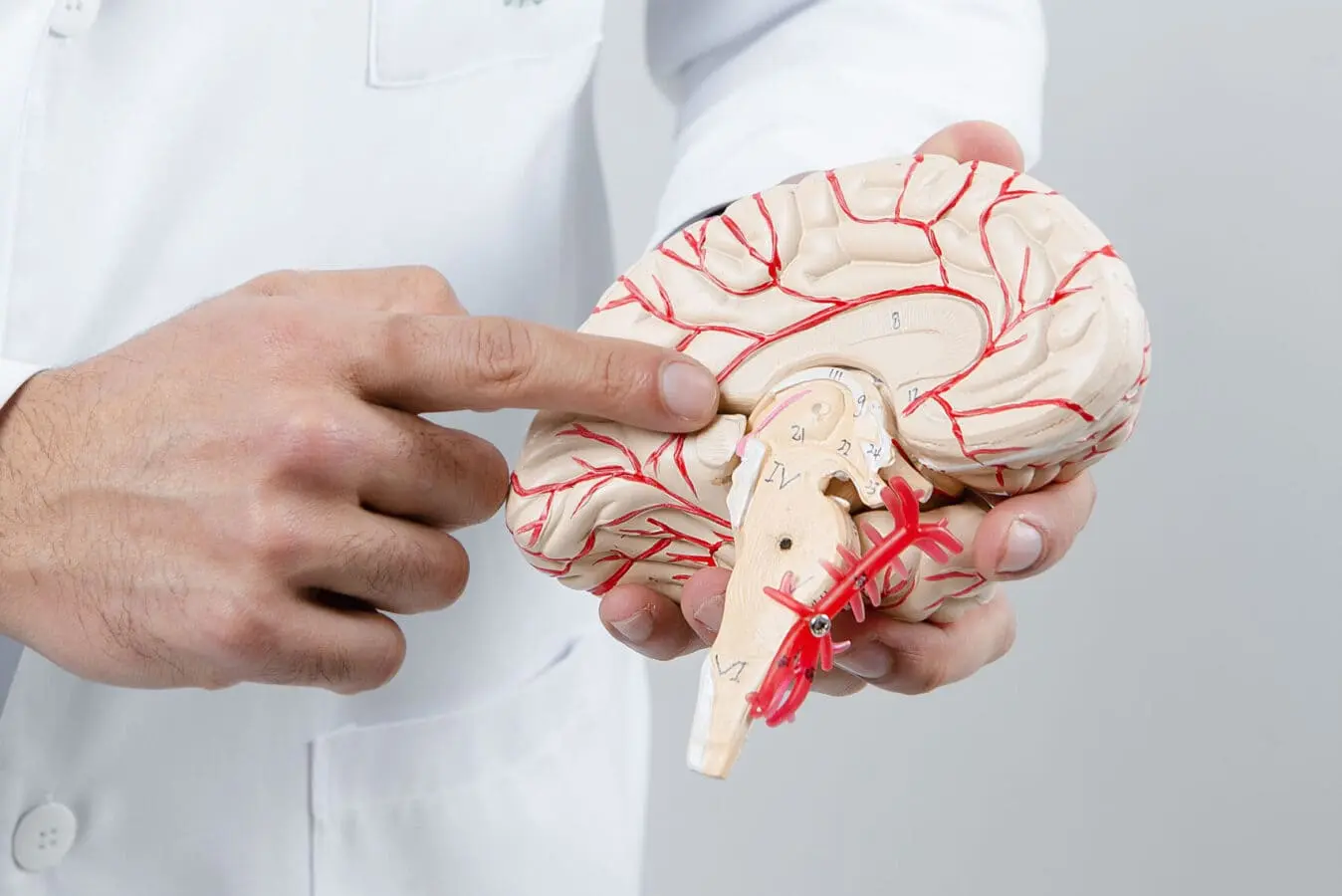 Cirurgia Endoscópica Endonasal